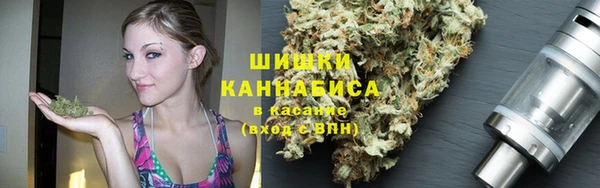 PSILOCYBIN Нея
