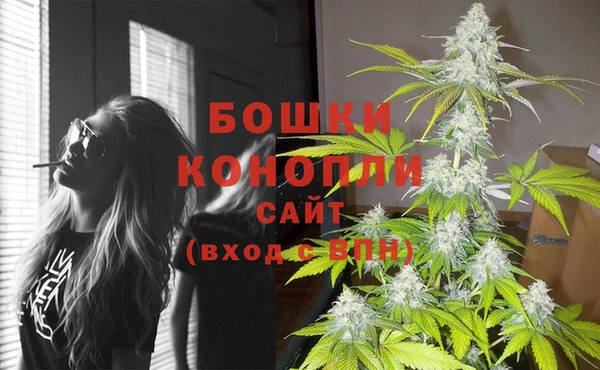 стафф Нефтекумск