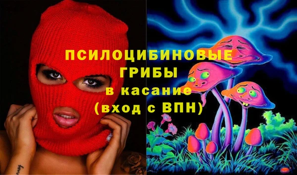 стафф Нефтекумск