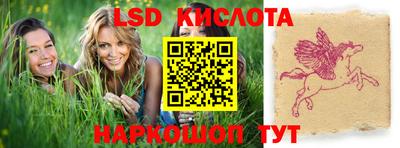 спайс Гусь-Хрустальный