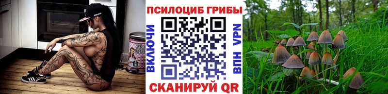 наркотики  mega онион  Галлюциногенные грибы мухоморы  Нововоронеж 