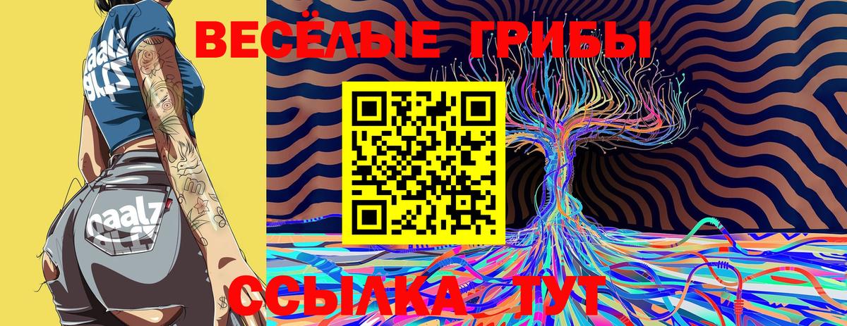 Нововоронеж  Галлюциногенные грибы MAGIC MUSHROOMS  Вход с VPN  Галлюциногенные грибы Psilocybe 