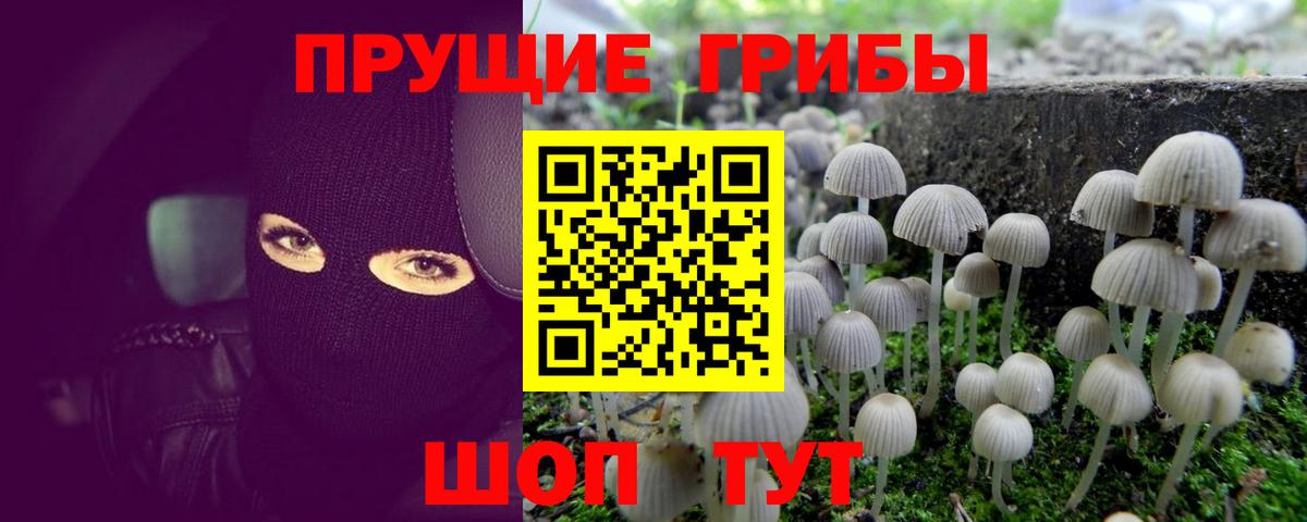 Галлюциногенные грибы прущие грибы Нововоронеж